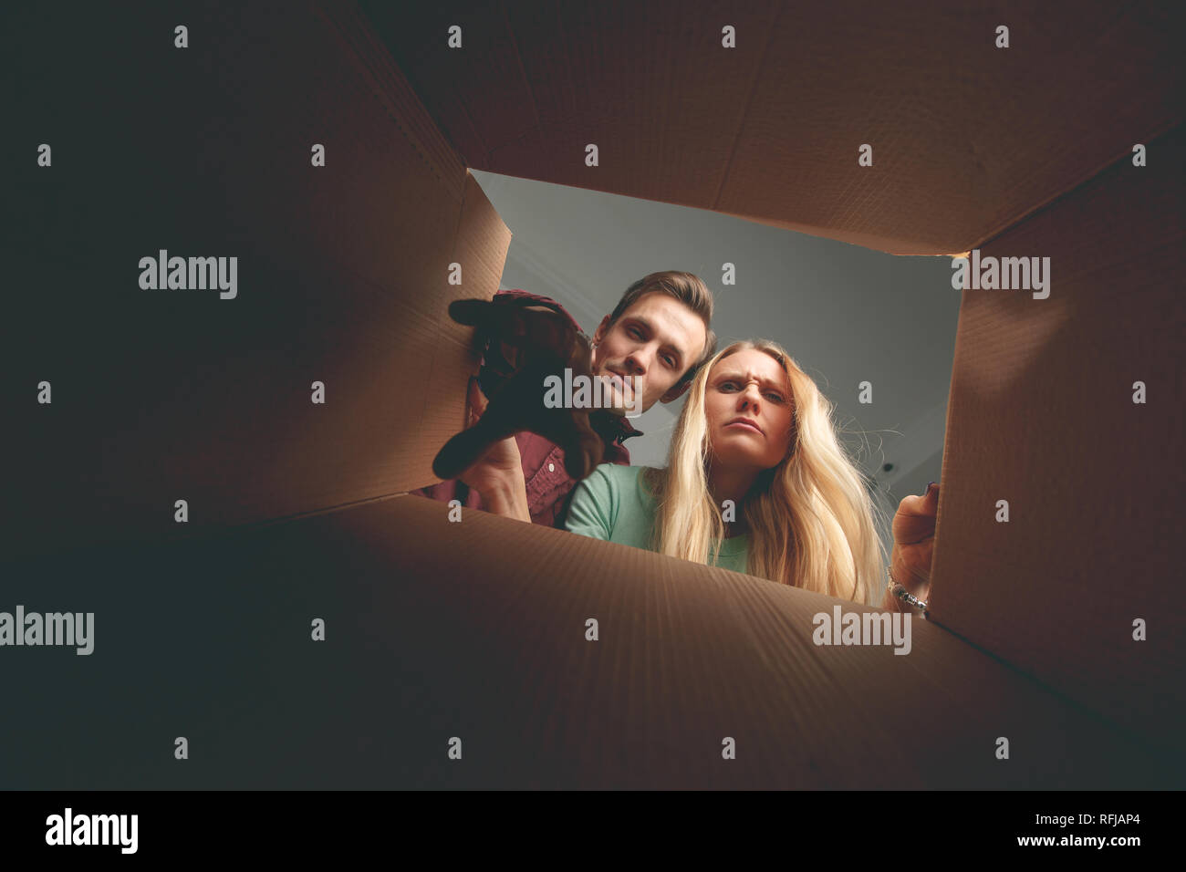 Image of woman and man looking inside cardboard box Stock Photo