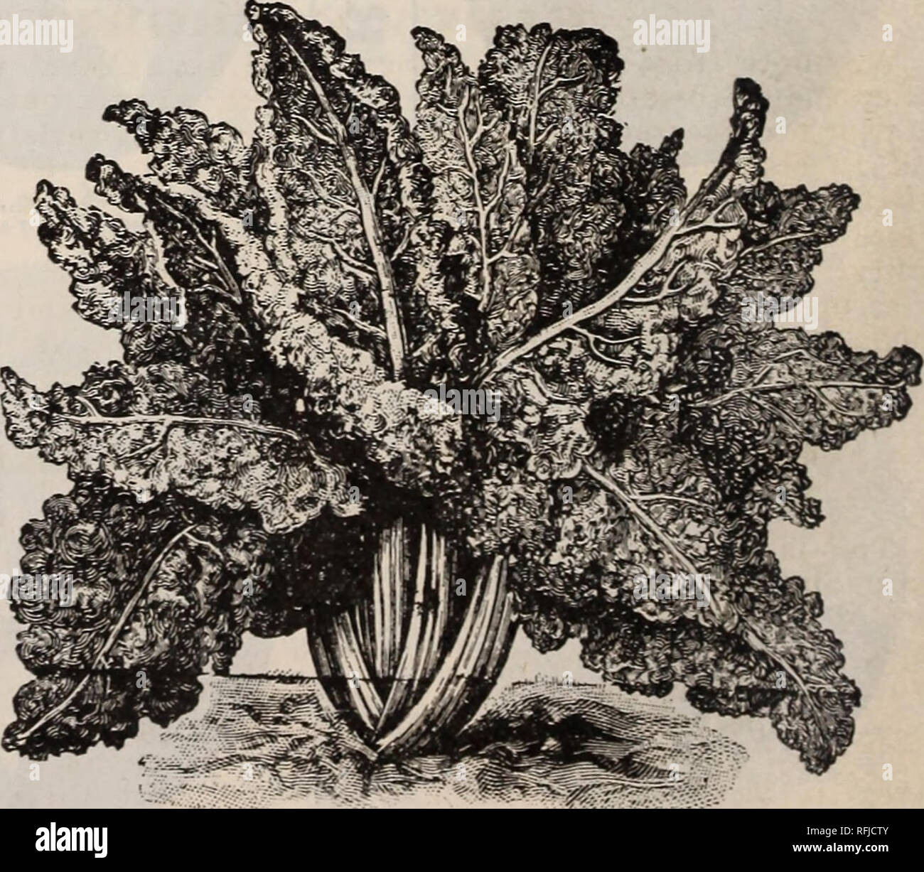 . Annual descriptive catalogue seeds &c.. Nursery stock Massachusetts