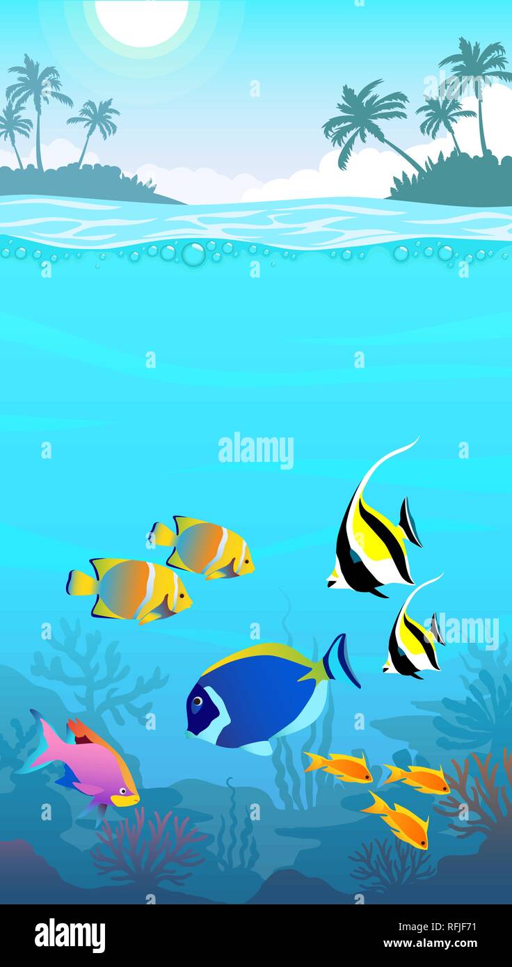 Beautiful underwater world, seascape, fish and sea bottom Stock Vector  Image & Art - Alamy