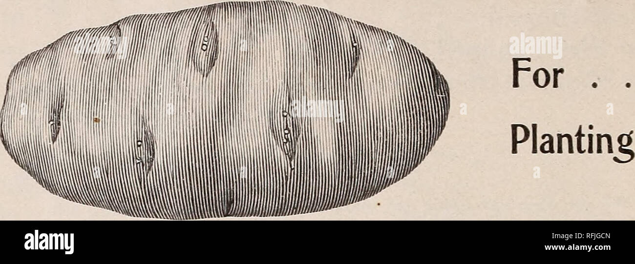 Buist S Preliminary Wholesale Prices Of Garden Seeds For Merchants And Dealers In Seeds Crop 1899 Nurseries Horticulture Pennsylvania Philadelphia Catalogs Vegetables Seeds Catalogs Buist S Wholesale Price List Buist S Selected Seed