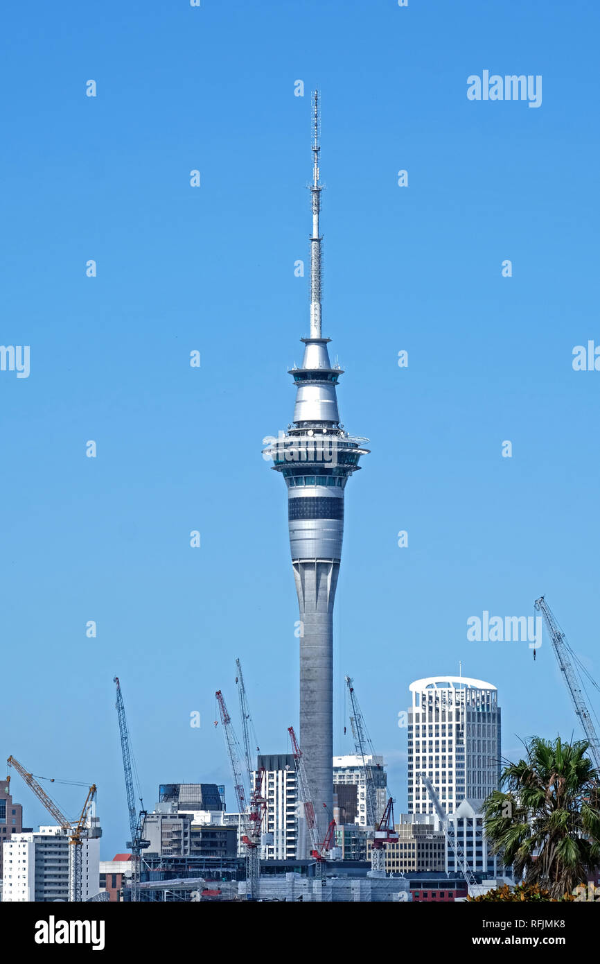 look at all the cranes in the central of Auckland, so many development going on at the moment, our city is changing Stock Photo