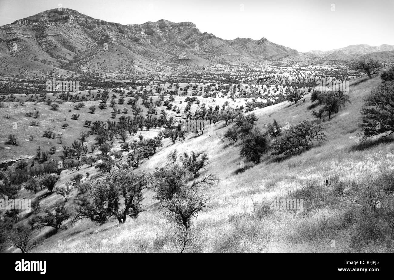 AZ - SYCAMORE CANYON (4) (10468900005). Stock Photo