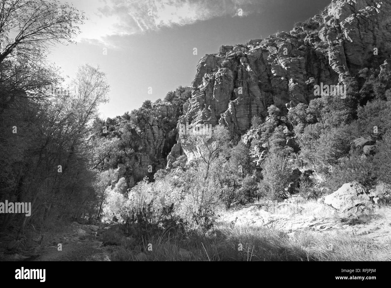 AZ - SYCAMORE CANYON (10) (10468921264). Stock Photo