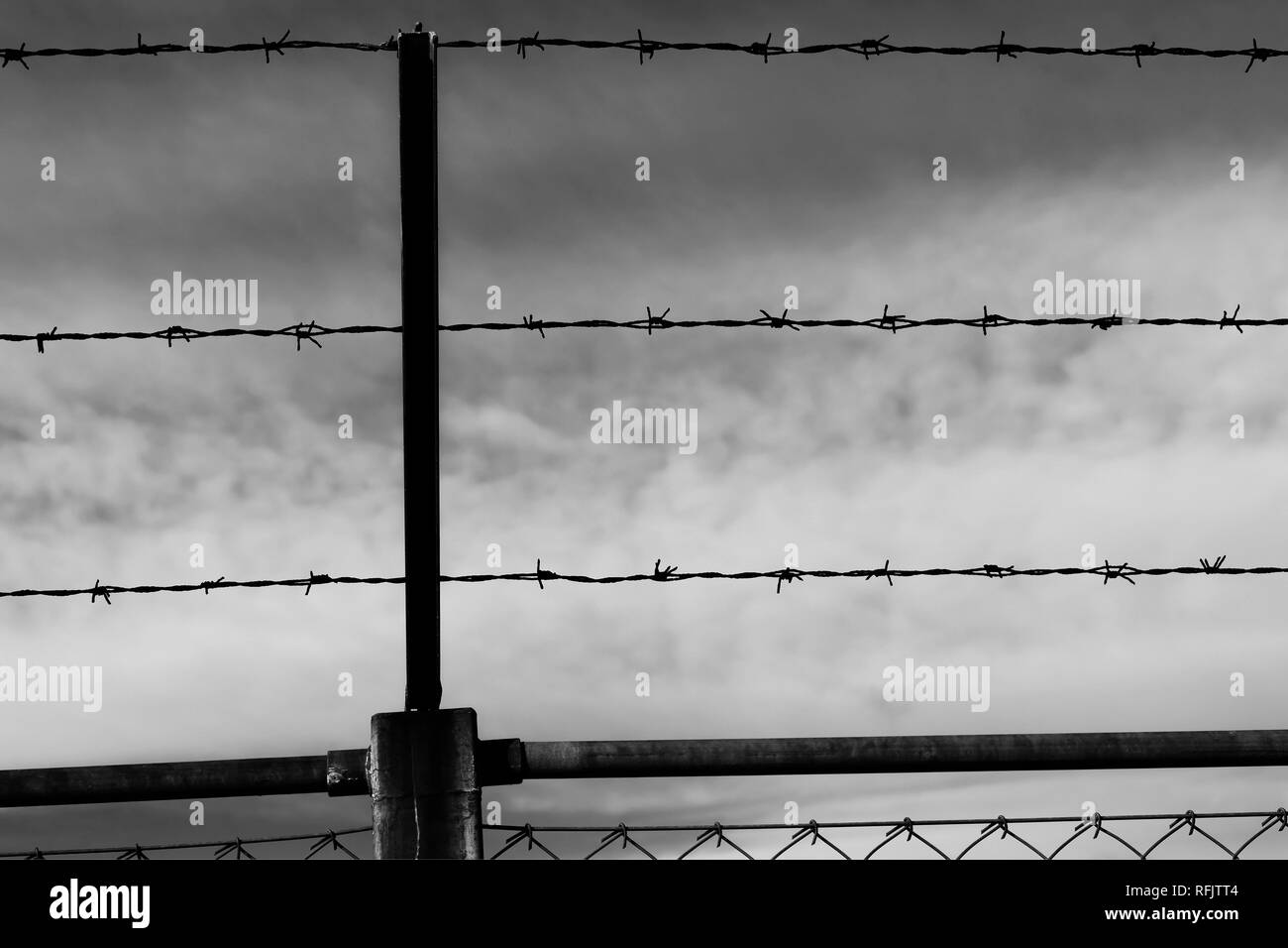 Barbed detail Black and White Stock Photos & Images - Alamy