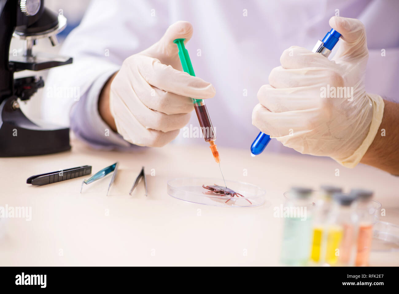 Male entomologist working in the lab on new species Stock Photo - Alamy