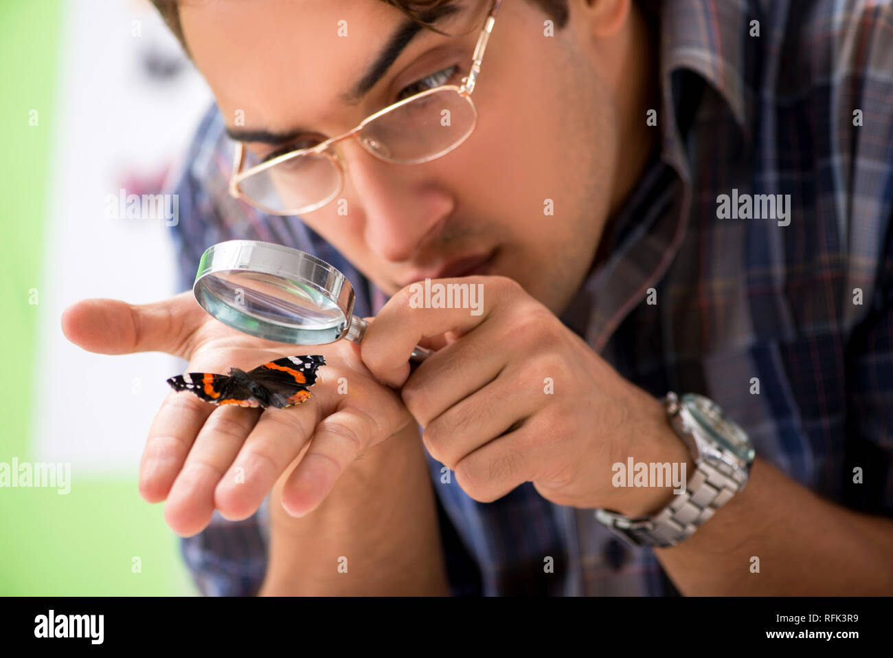 Student entomologist studying new species of butterflies Stock Photo ...