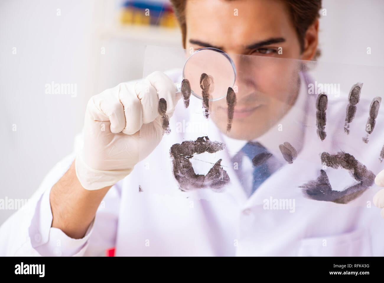 Forensic expert studying fingerprints in the lab Stock Photo Alamy