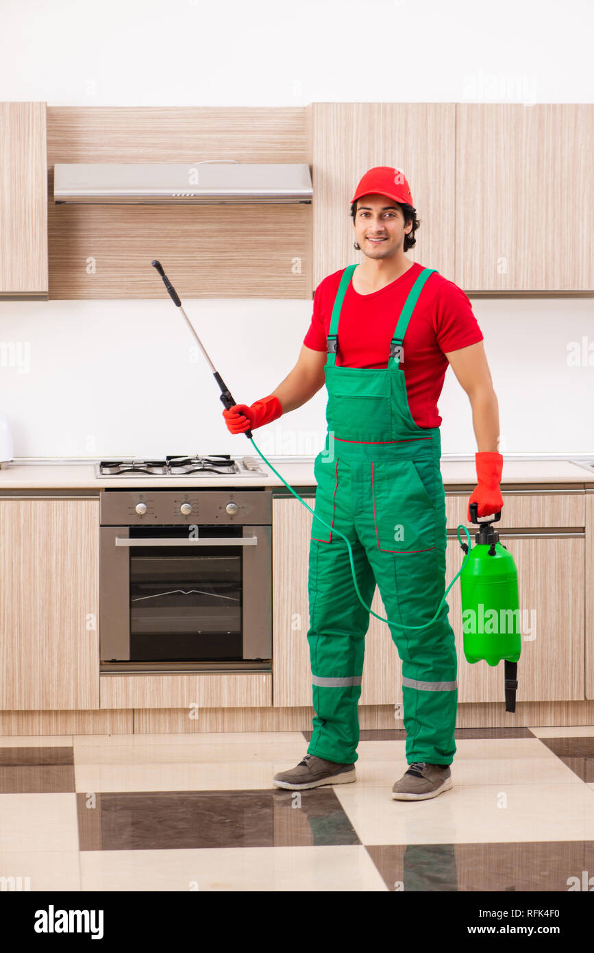 Professional contractor doing pest control at kitchen Stock Photo - Alamy