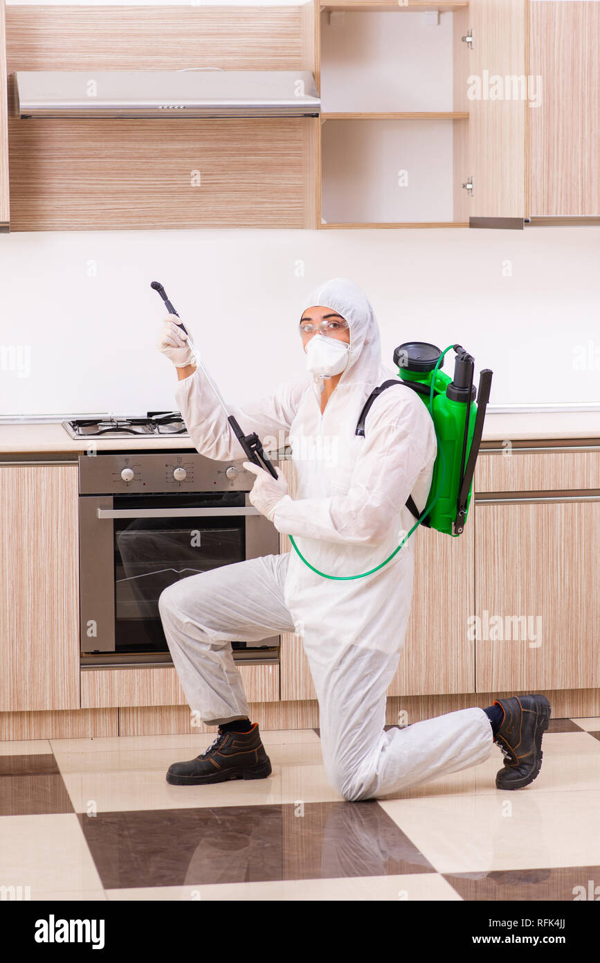 Professional contractor doing pest control at kitchen Stock Photo - Alamy