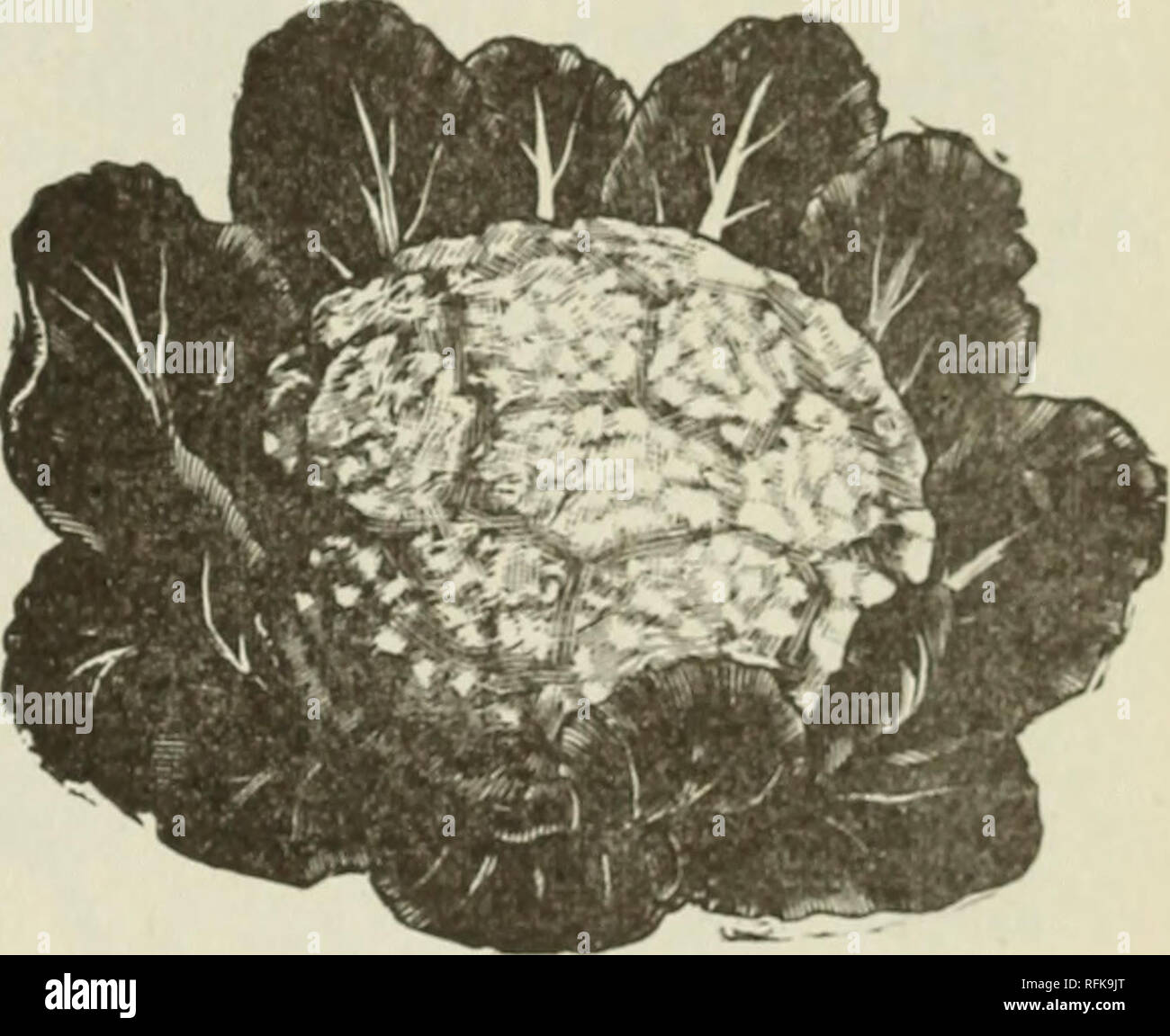 Page 3 Eb X High Resolution Stock Photography And Images Alamy