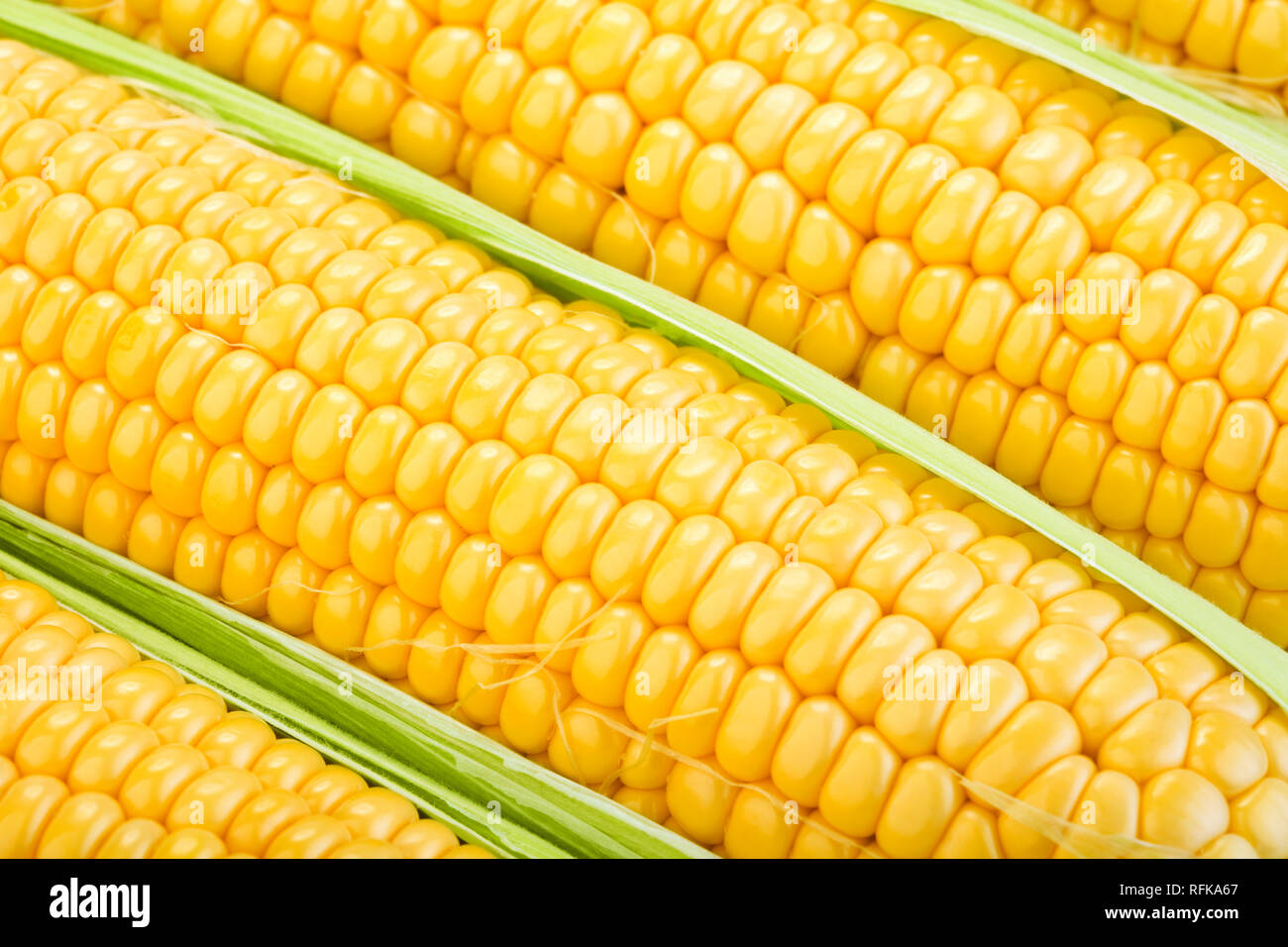 close-up view of fresh corn cobs Stock Photo
