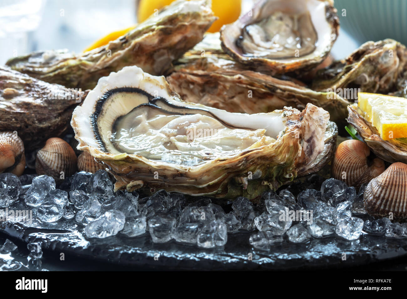 open oysters with ice and lemon on slate background Stock Photo