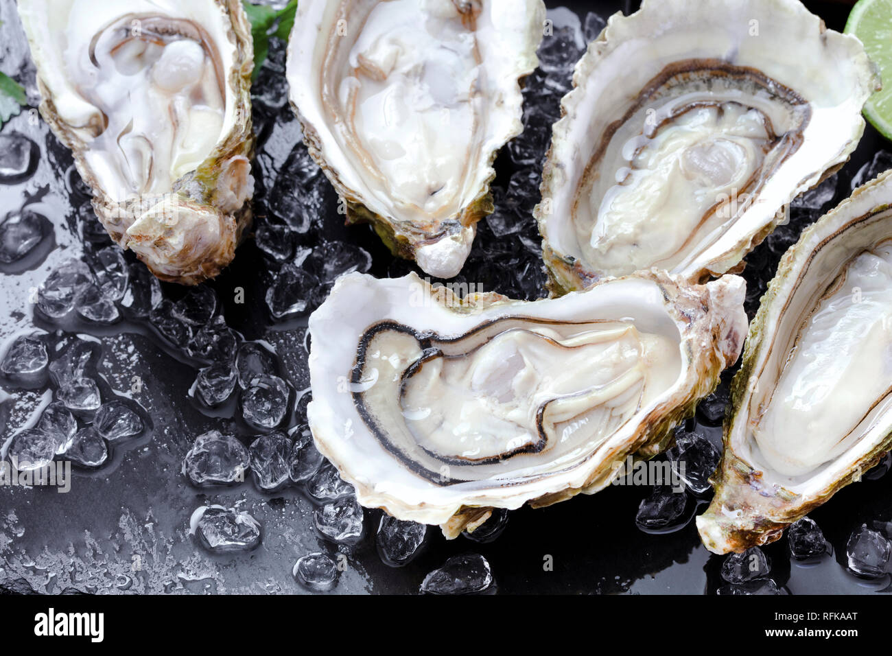 open oysters with ice and lemon on slate background Stock Photo