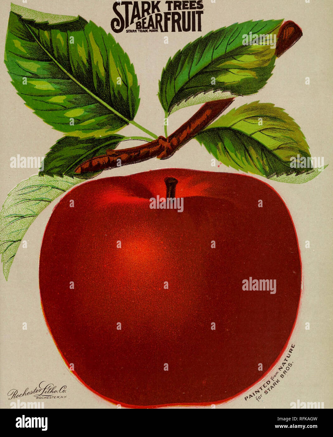 Stark Bros Fruit Trees / Vintage Stark Bros Fruit Tree Center Metal Sign 26 X 36 1758210870 - Stark brothers nurseries & orchards company.