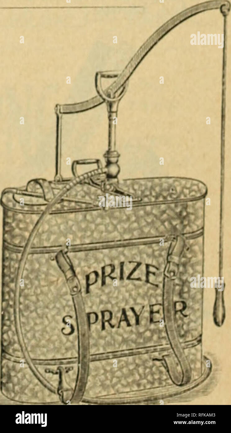 . Beautiful flowers from the Calla Greenhouses. Nurseries (Horticulture