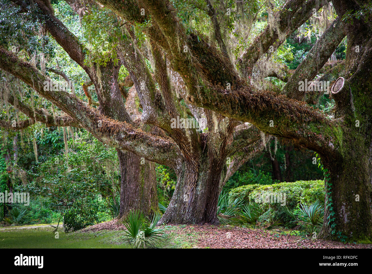 Robertsdale alabama hires stock photography and images Alamy