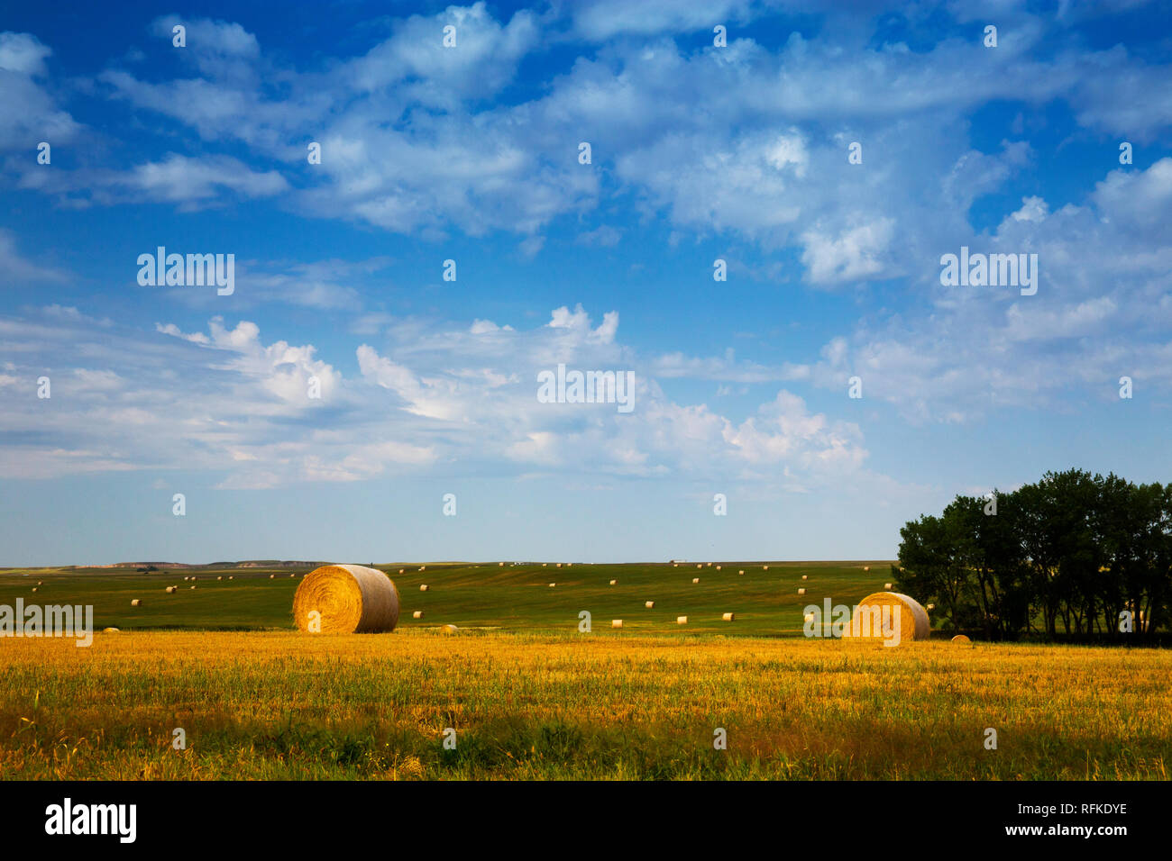Buffalo Gap National Grasslands, South Dakota. Bales of Hay in the