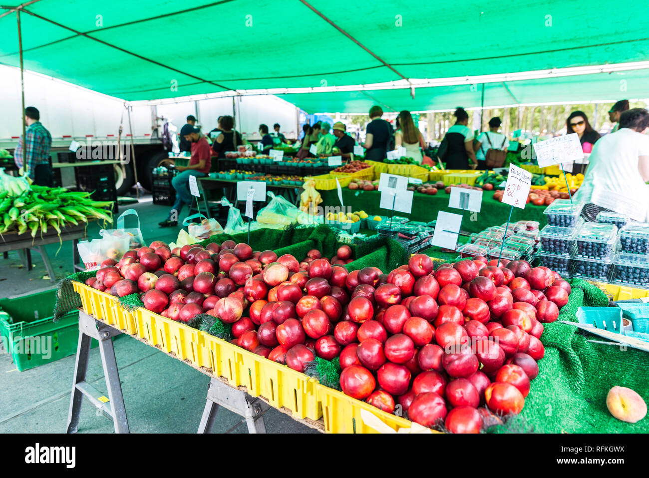 New York City, USA July 26, 2018 Farmers Market at Brooklyn Borough
