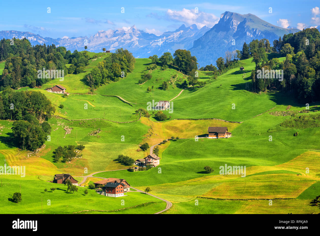 Idyllic Swiss Rural Landscape With Green Meadows And Alps Mountain