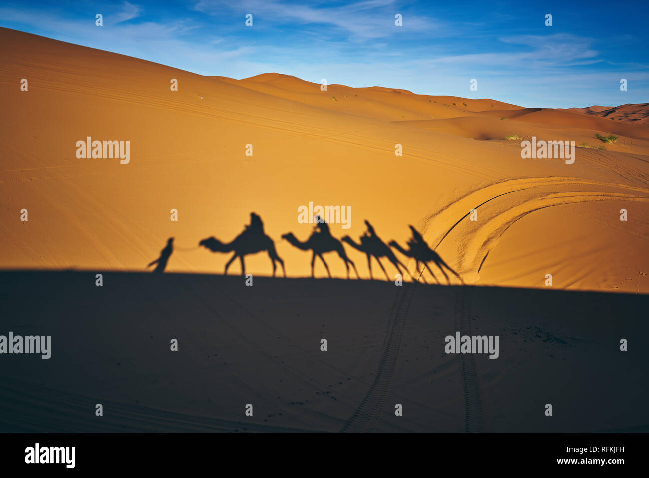 Camel caravan and shadows in desert Erg Chebbi, near town Merzouga, Sahara Desert, Morocco Stock Photo