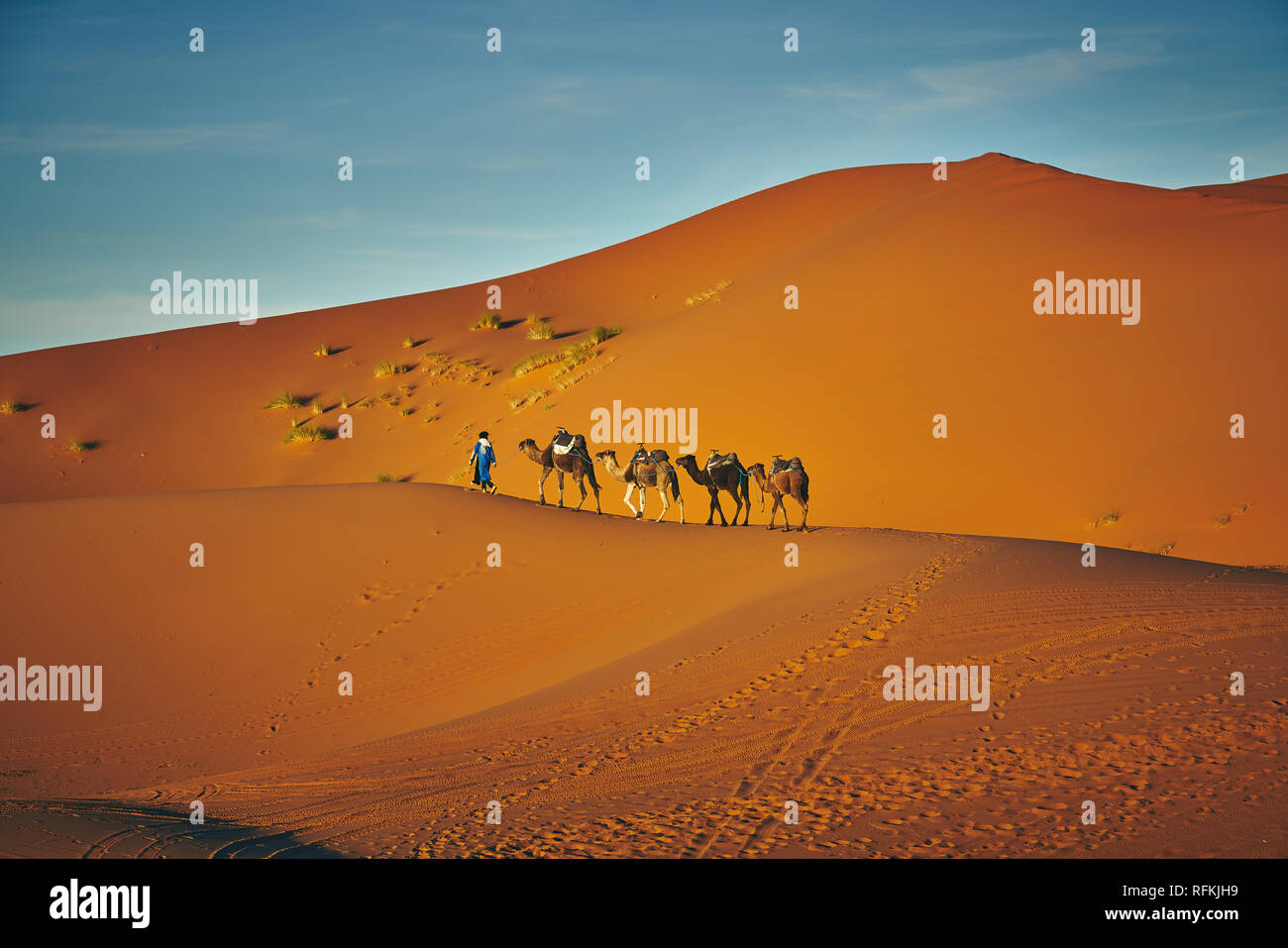 Camel caravan under the sun. Desert landscape photo was taken in Erg Chebbi, near town Merzouga, Sahara Desert, Morocco. Stock Photo