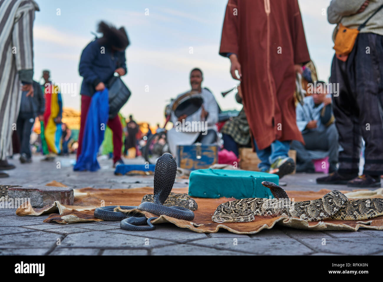 Snake charming in Jemaa El Fnaa, Marakech, Morocco. Snake charmers play exotic music for snakes. Stock Photo