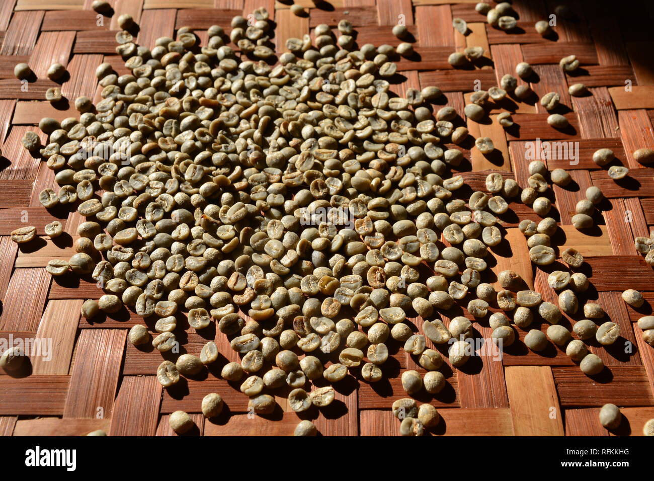 Green coffee bean extract comes from unroasted coffee beans, Green