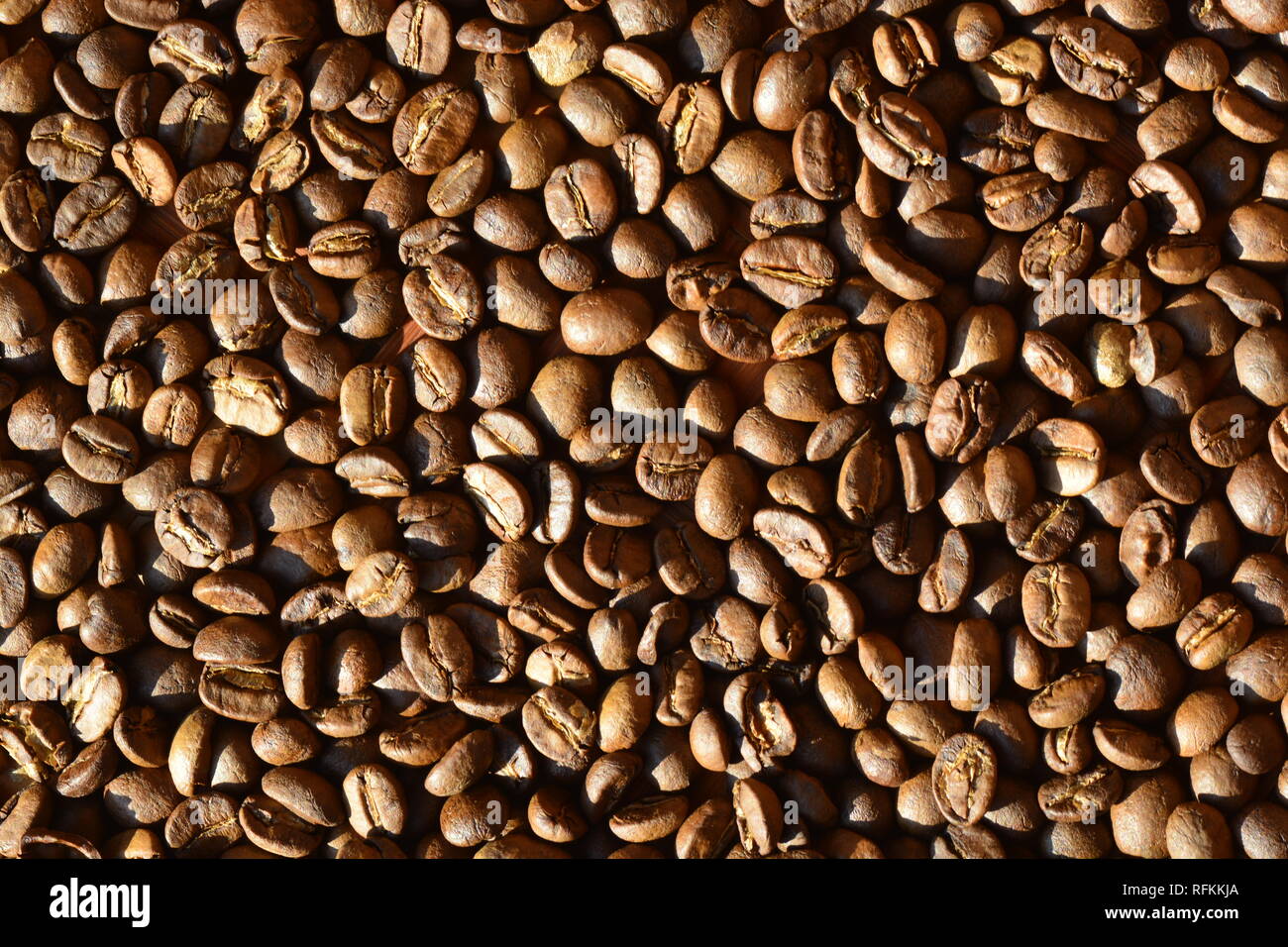 roasted arabica coffee beans, can be used as a background Stock Photo ...