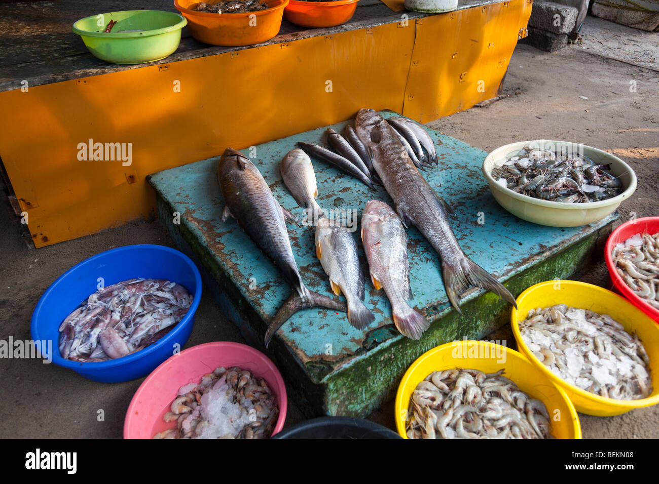 fish market, Kochi, Kerala, India Stock Photo