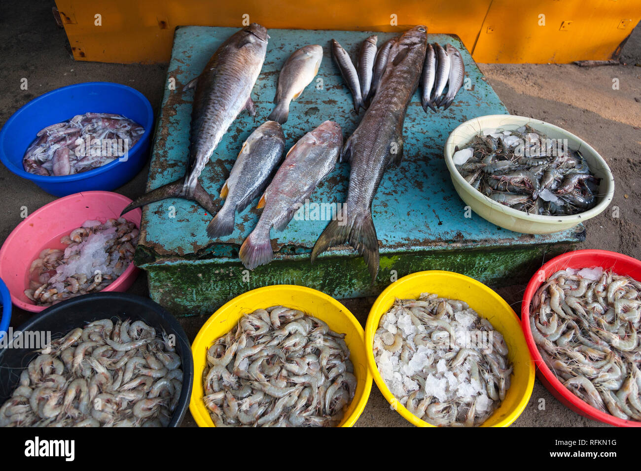 fish market, Kochi, Kerala, India Stock Photo Alamy
