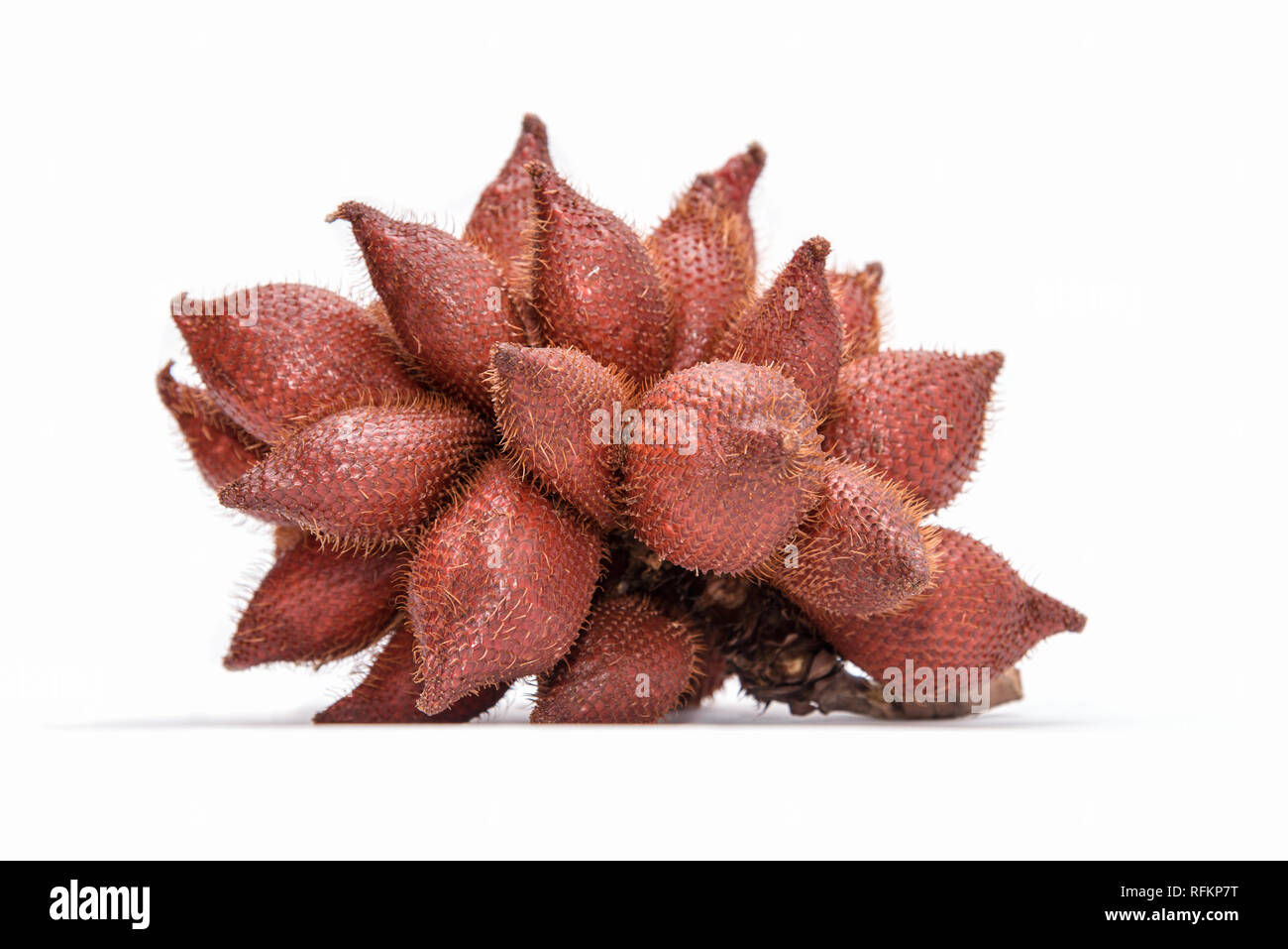 cluster of Zalacca or Salacca or Salak tropical asian fruits over white background Stock Photo