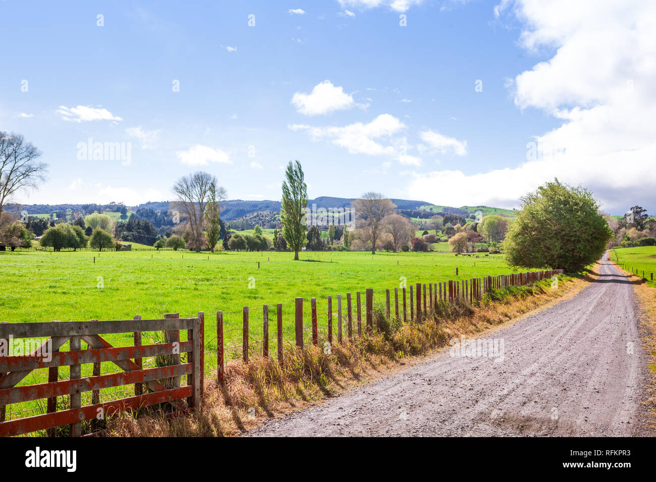 An unsealed road runs along past the fence and gate of a lush green farm property. Stock Photo