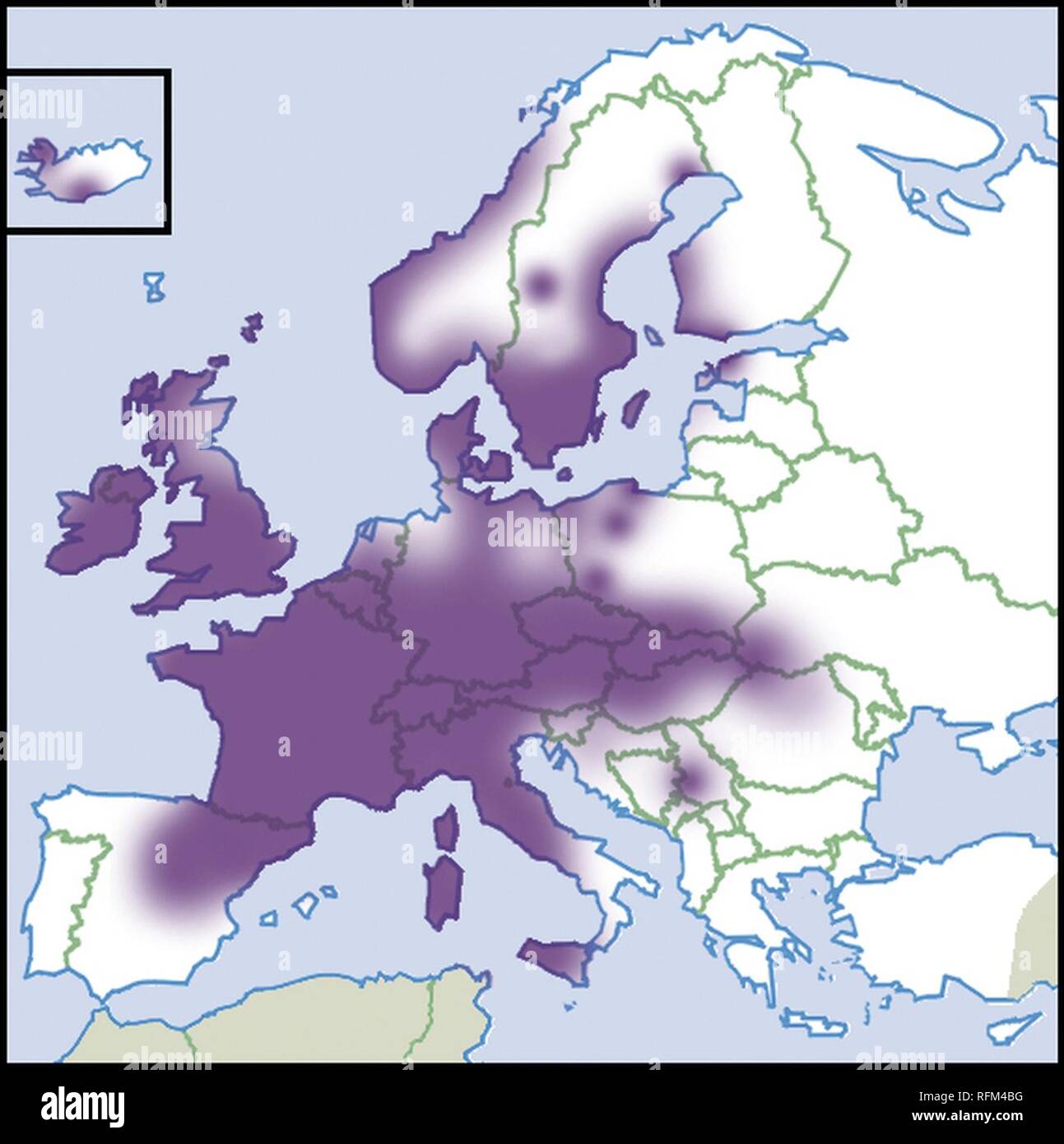 Balea-perversa-map-eur-nm-moll. Stock Photo