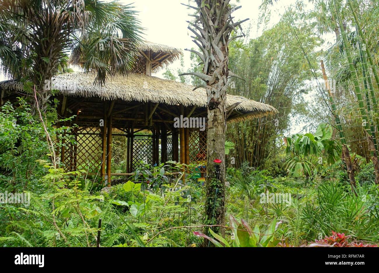 Bamboo Pavilion, 2002, made of Guadua angustifolia - McKee Botanical Garden - Vero Beach, Florida - Stock Photo