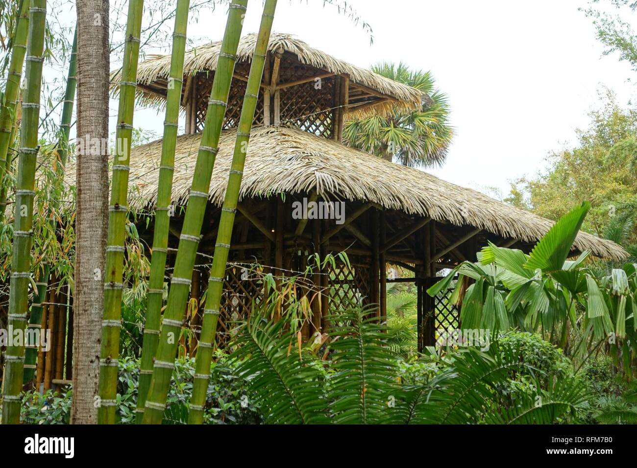 Bamboo Pavilion, 2002, made of Guadua angustifolia - McKee Botanical Garden - Vero Beach, Florida - Stock Photo