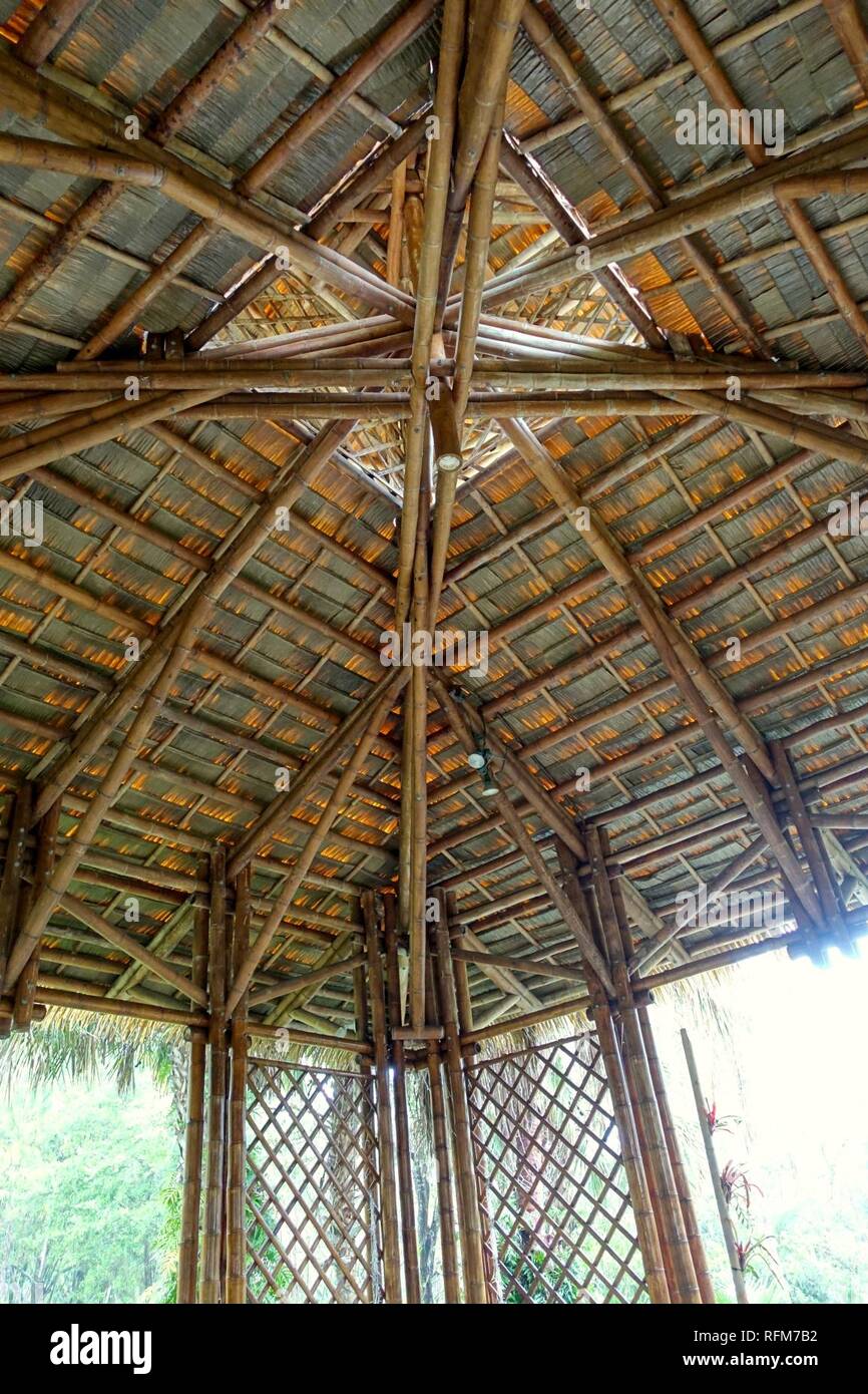 Bamboo Pavilion, ceiling, 2002, made of Guadua angustifolia - McKee Botanical Garden - Vero Beach, Florida - Stock Photo