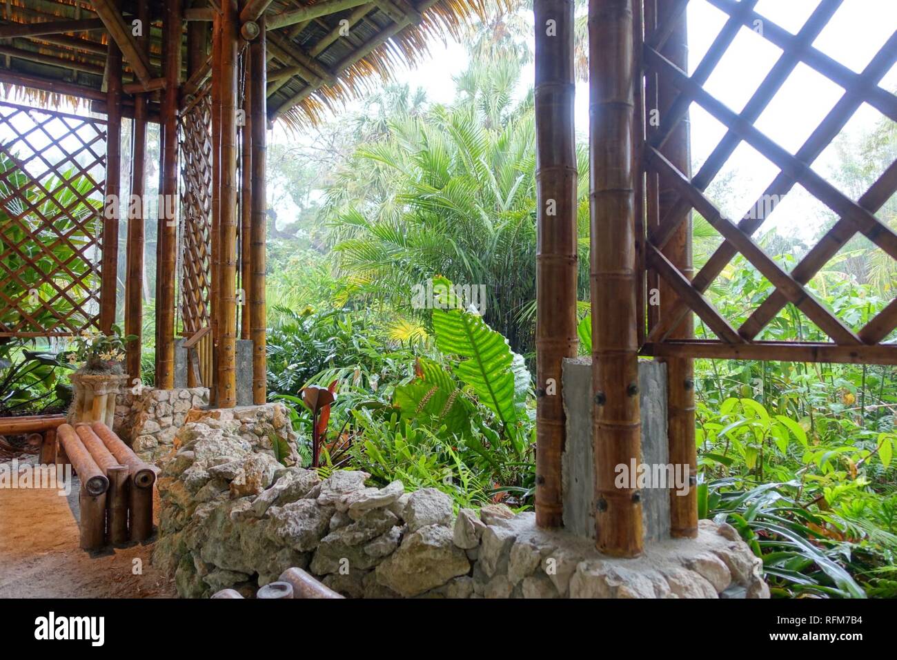 Bamboo Pavilion, interior, 2002, made of Guadua angustifolia - McKee Botanical Garden - Vero Beach, Florida - Stock Photo