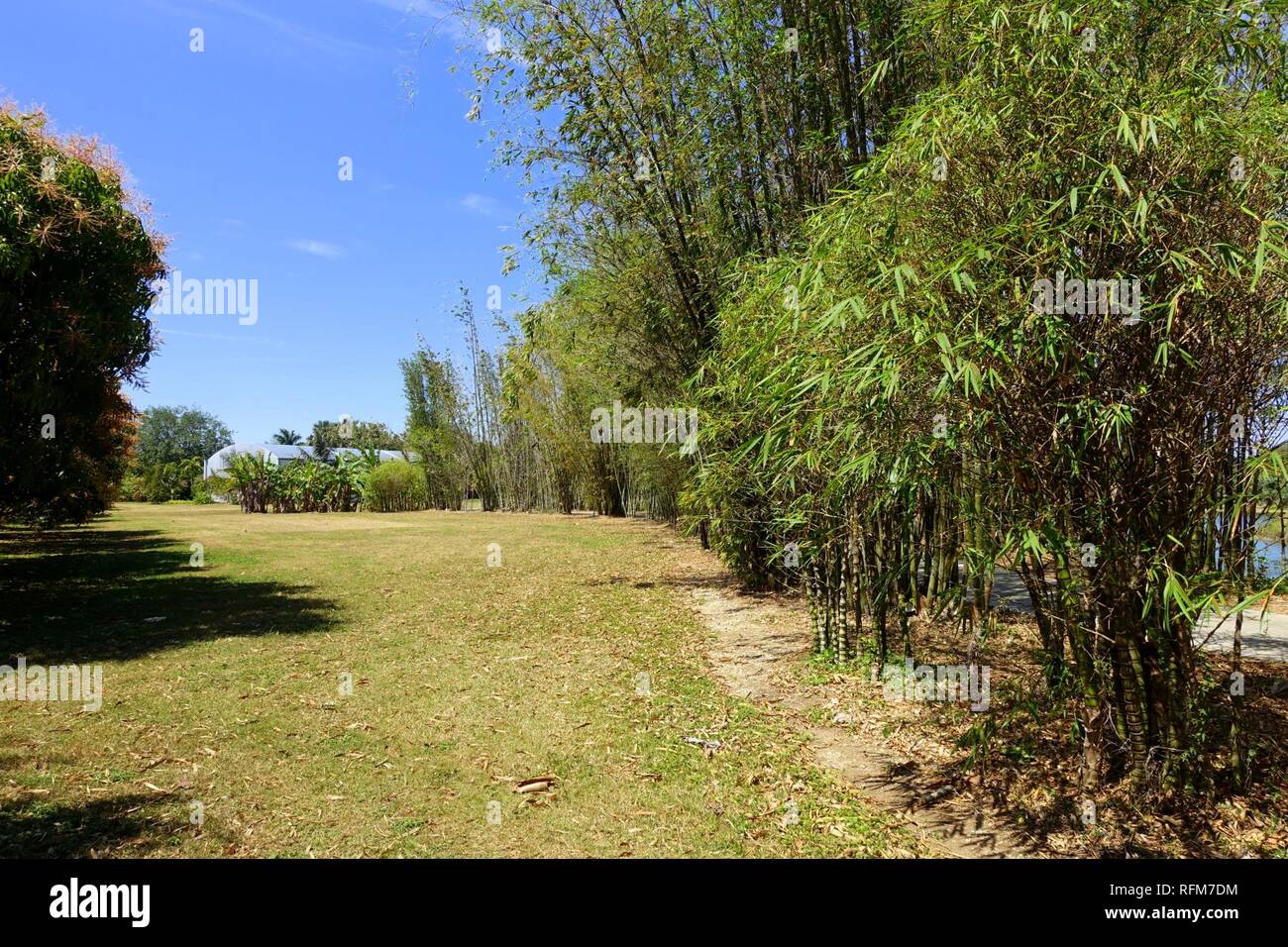 Bamboos Fruit and Spice Park Homestead, Florida Stock Photo Alamy