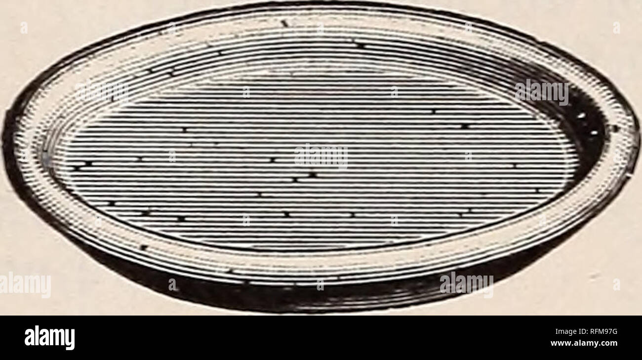 Michell S 1899 Wholesale Price List Of Bulbs And Seeds For Fall