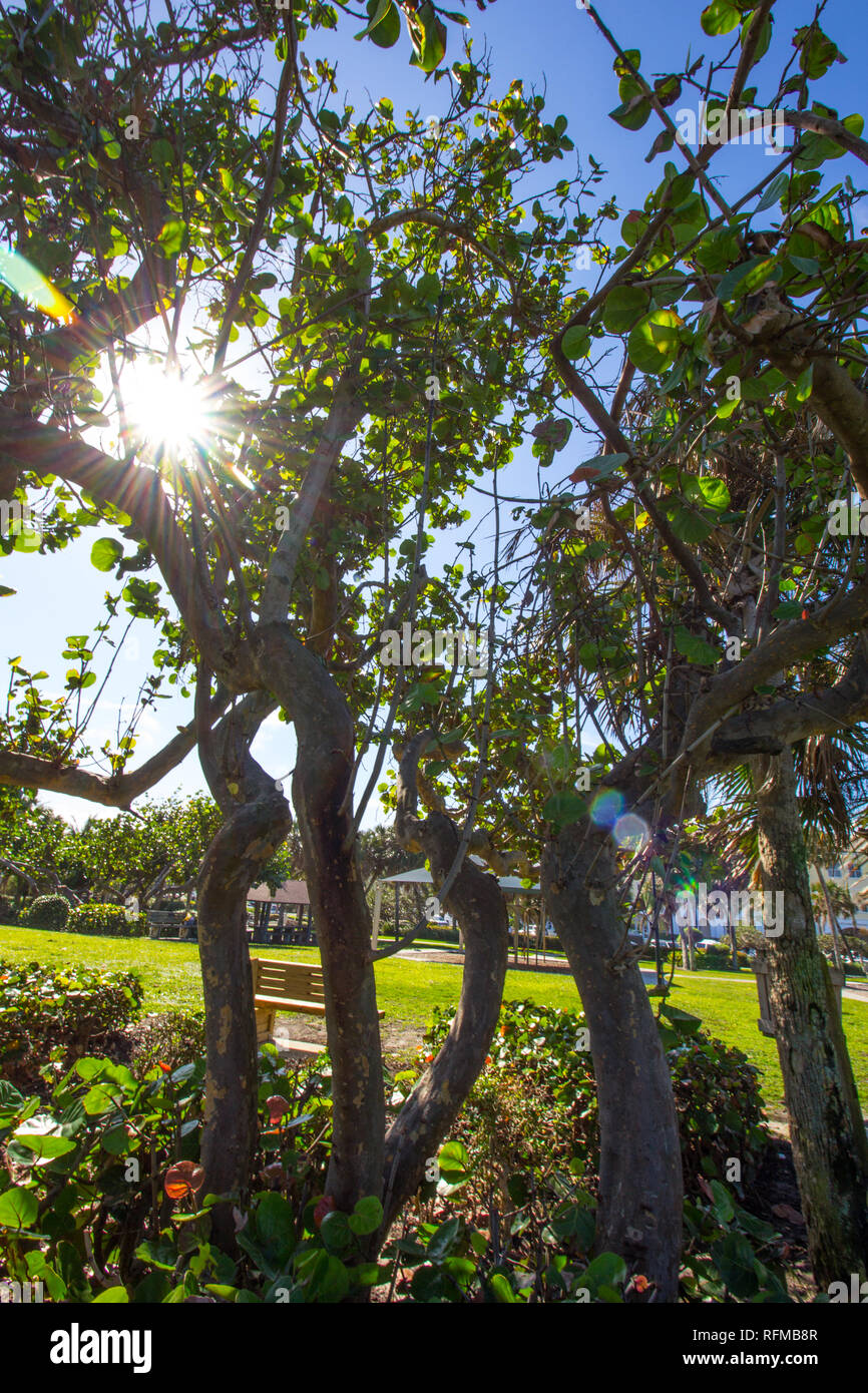 Vero Beach Park, Florida Stock Photo - Alamy