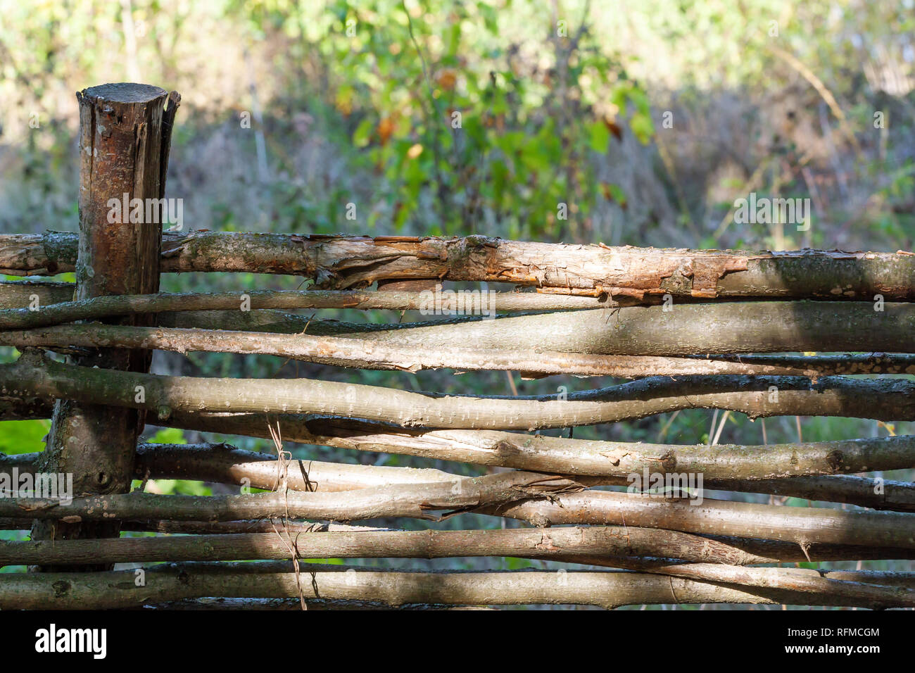 Landscape with wattle fence on woodland park Stock Photo