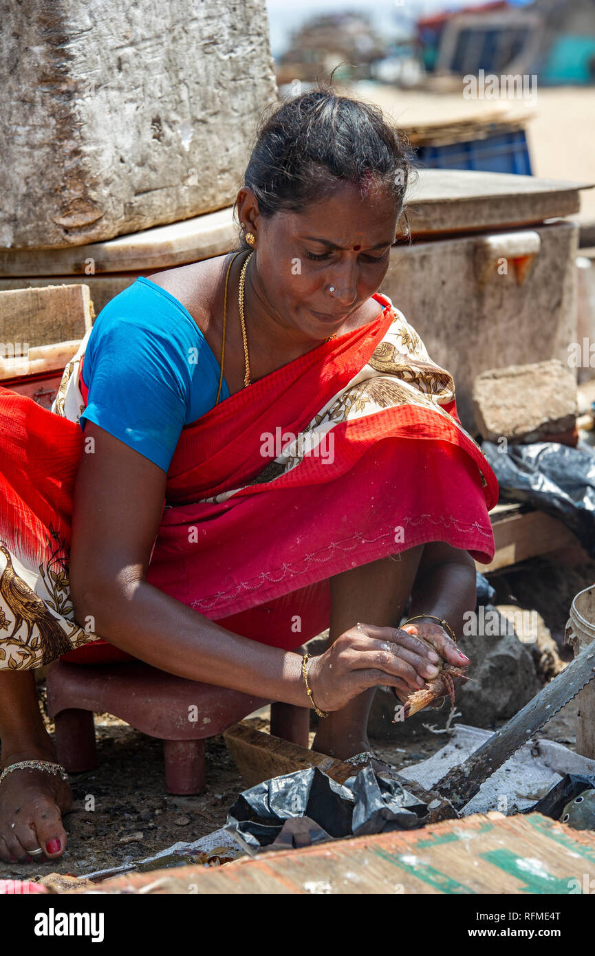 Indian woman in saree chennai hi-res stock photography and images - Alamy