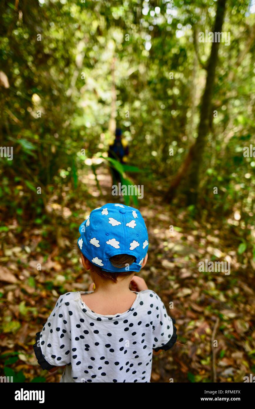 A young child walks along a path in a tropical rainforest, Granite bend track to broken river, Eungella National Park, Queensland, Australia Stock Photo