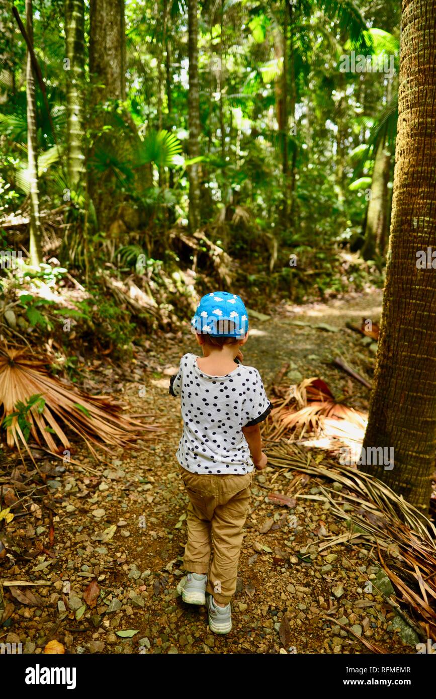 A young child walks along a path in a tropical rainforest, Granite bend track to broken river, Eungella National Park, Queensland, Australia Stock Photo