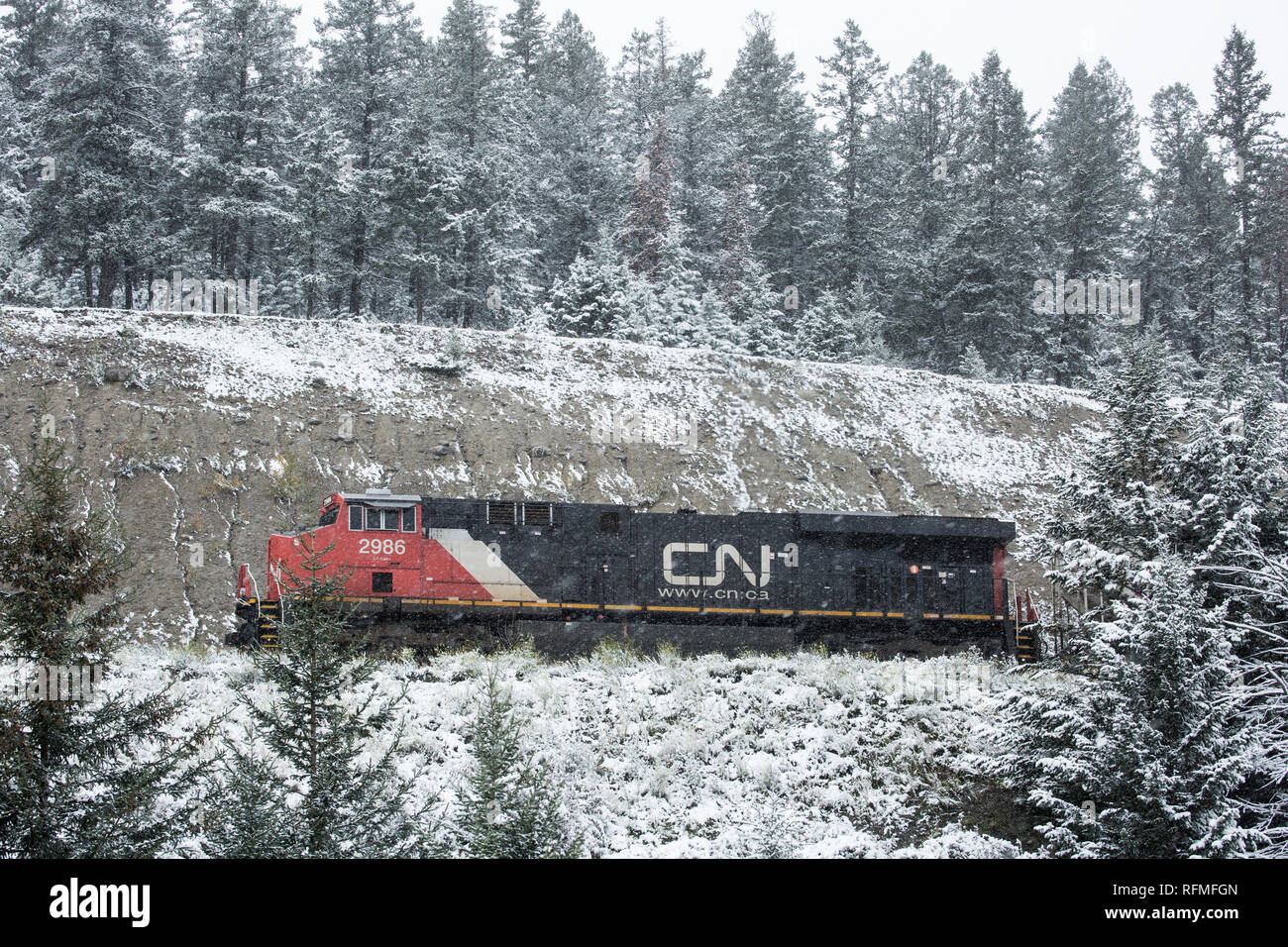 CN locomotive climbing a grade outside Jasper, Alberta in early snowfall Stock Photo
