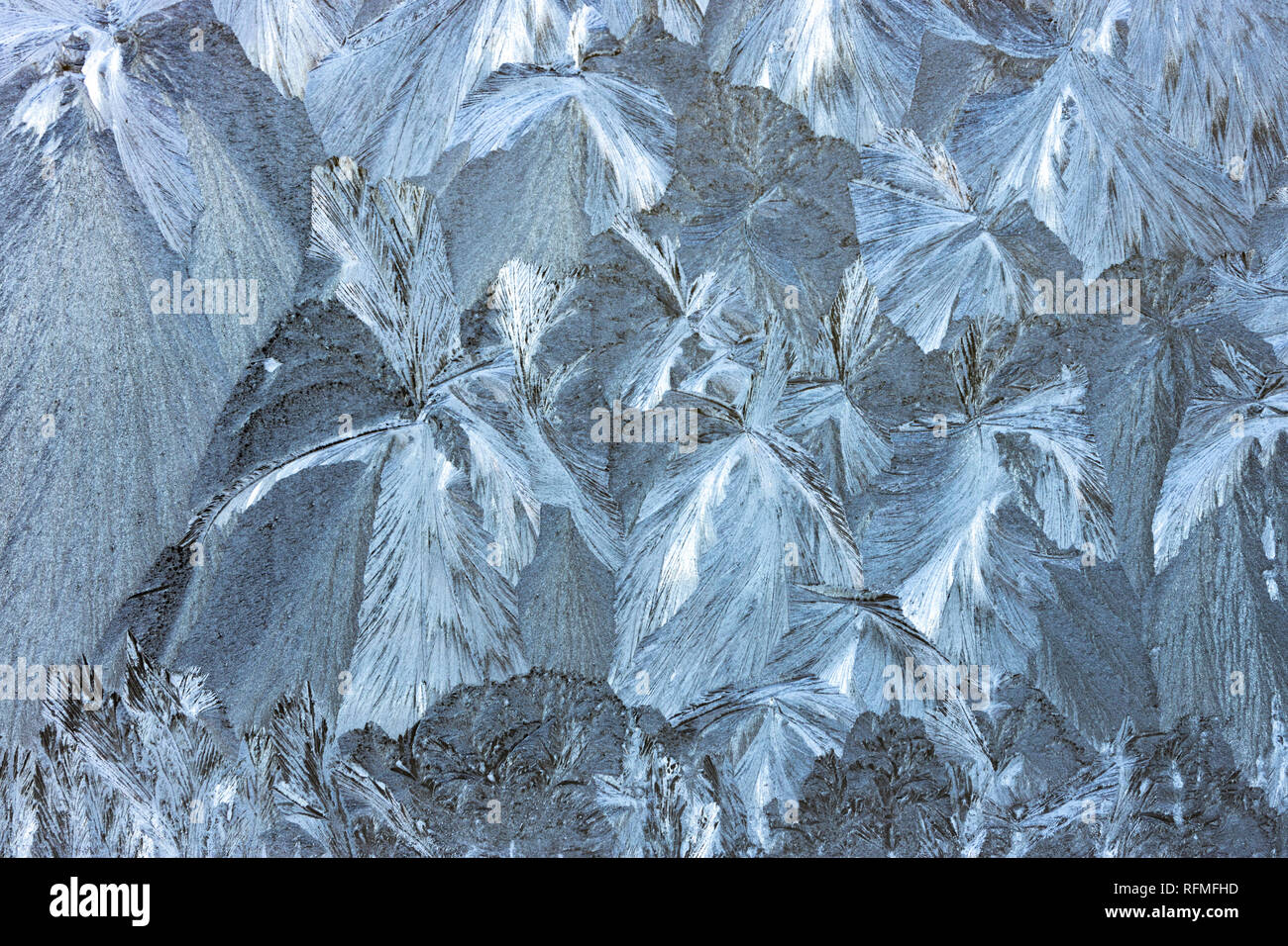 Frost patterns on Glass. Stock Photo