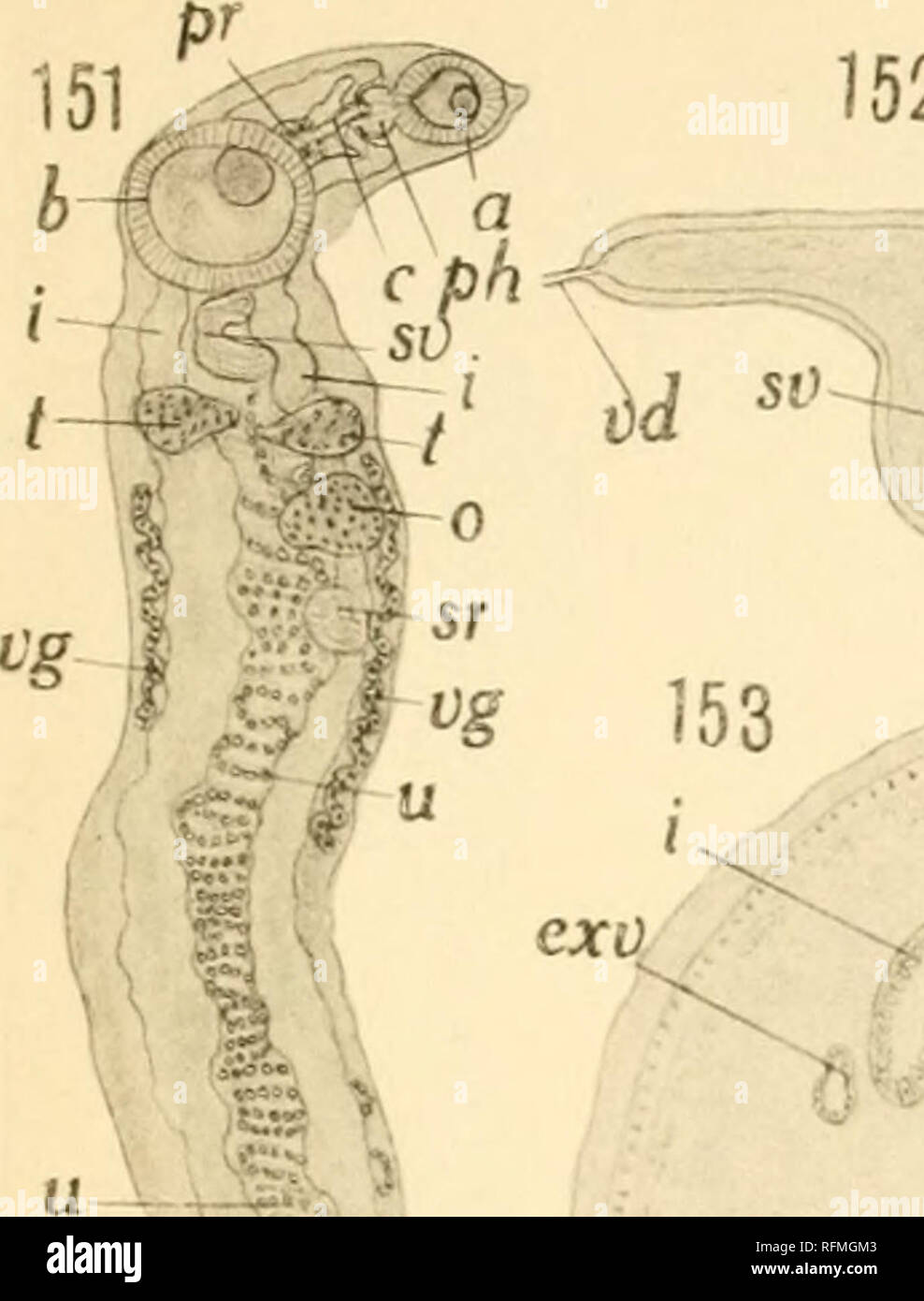 D O Exo High Resolution Stock Photography And Images Alamy