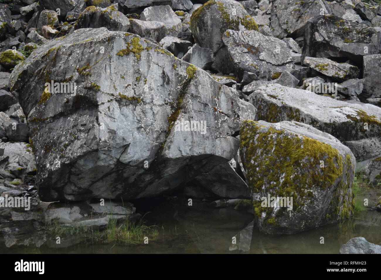 Lichen alaska hi-res stock photography and images - Alamy