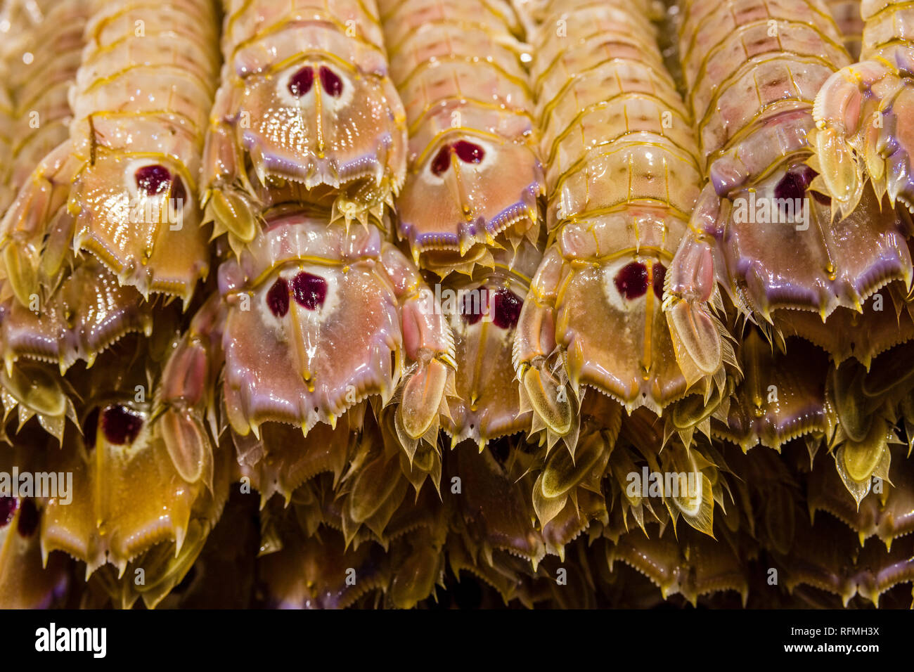 Fresh crayfish is sold at Rialto Market, Mercato di Rialto Stock Photo