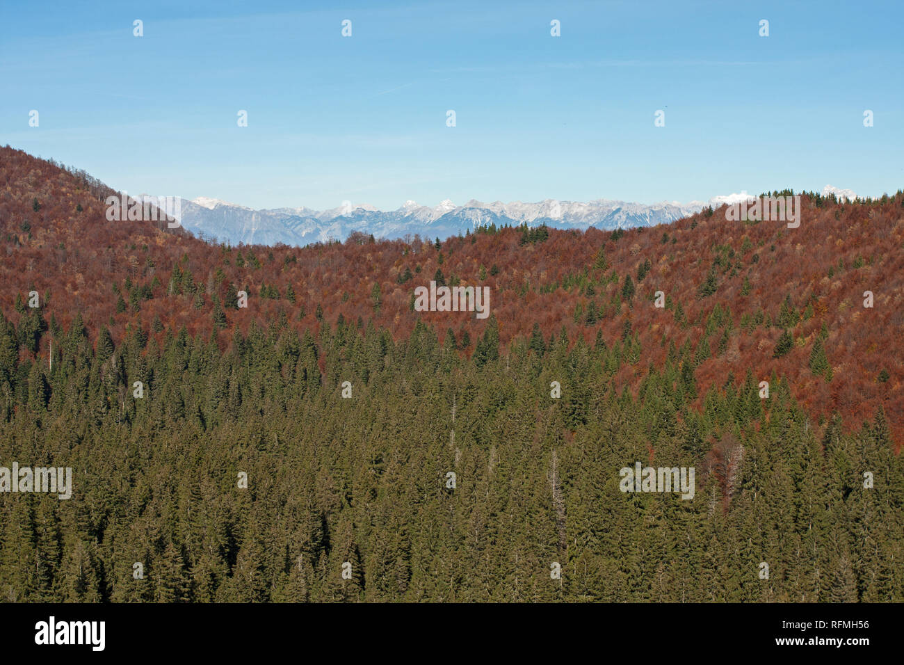 Frost hollow Smrekova Draga in Slovenia, Europe Stock Photo Alamy